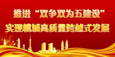 衡水市暨桃城区2023年“12.4”国家宪法日集中宣传活动